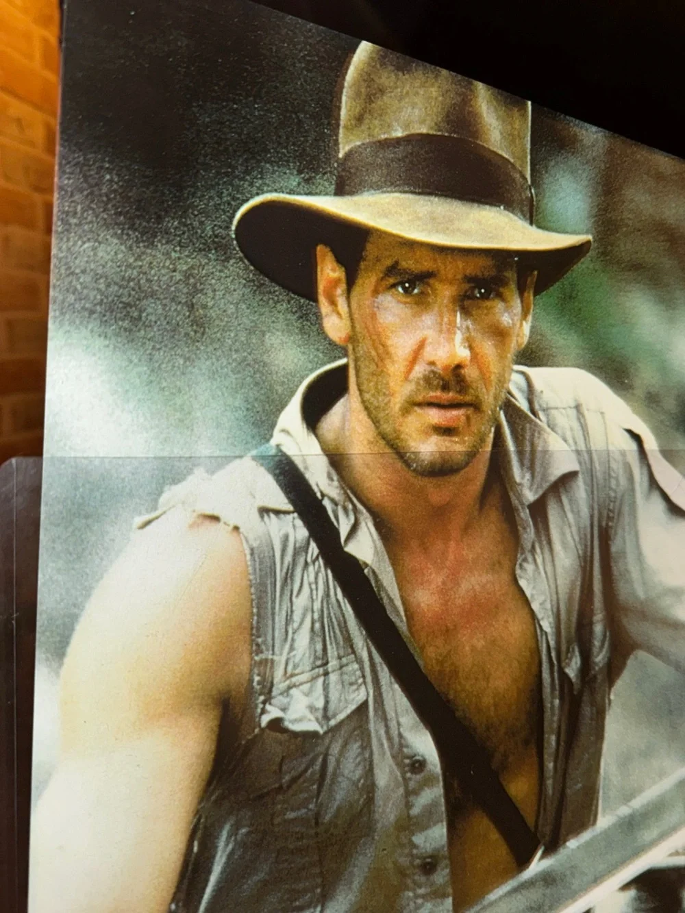 Harrison Ford, The Temple of Doom (1984) Promo Photo (11x14)